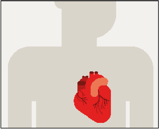 Illustratie hart en bloedvaten