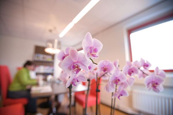 Bloemen