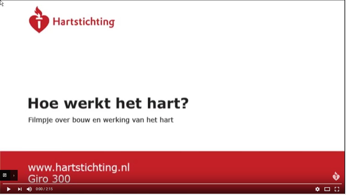 Screenshot video Hartstichting werking van het hart