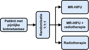 schema schema